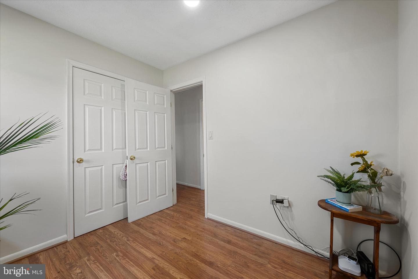 557 Ash Street photo 16