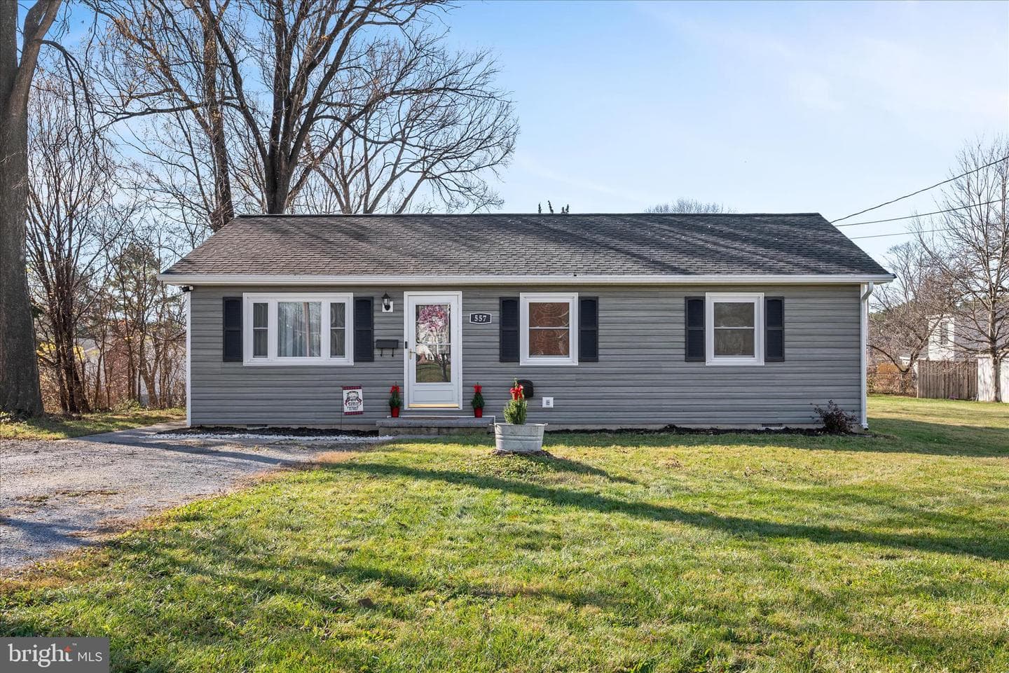 557 Ash Street photo 2