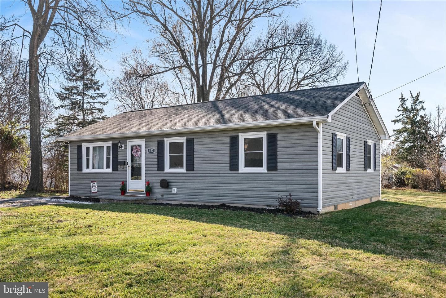 557 Ash Street photo 3