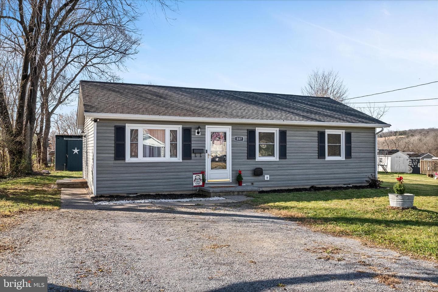 557 Ash Street photo 4