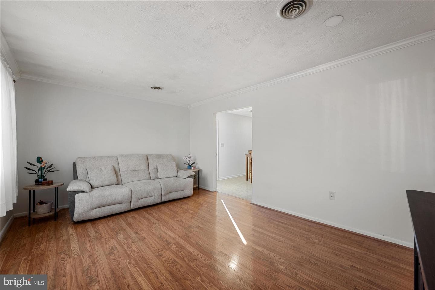 557 Ash Street photo 5