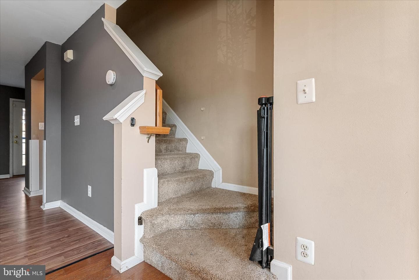107 Cannon Court photo 27