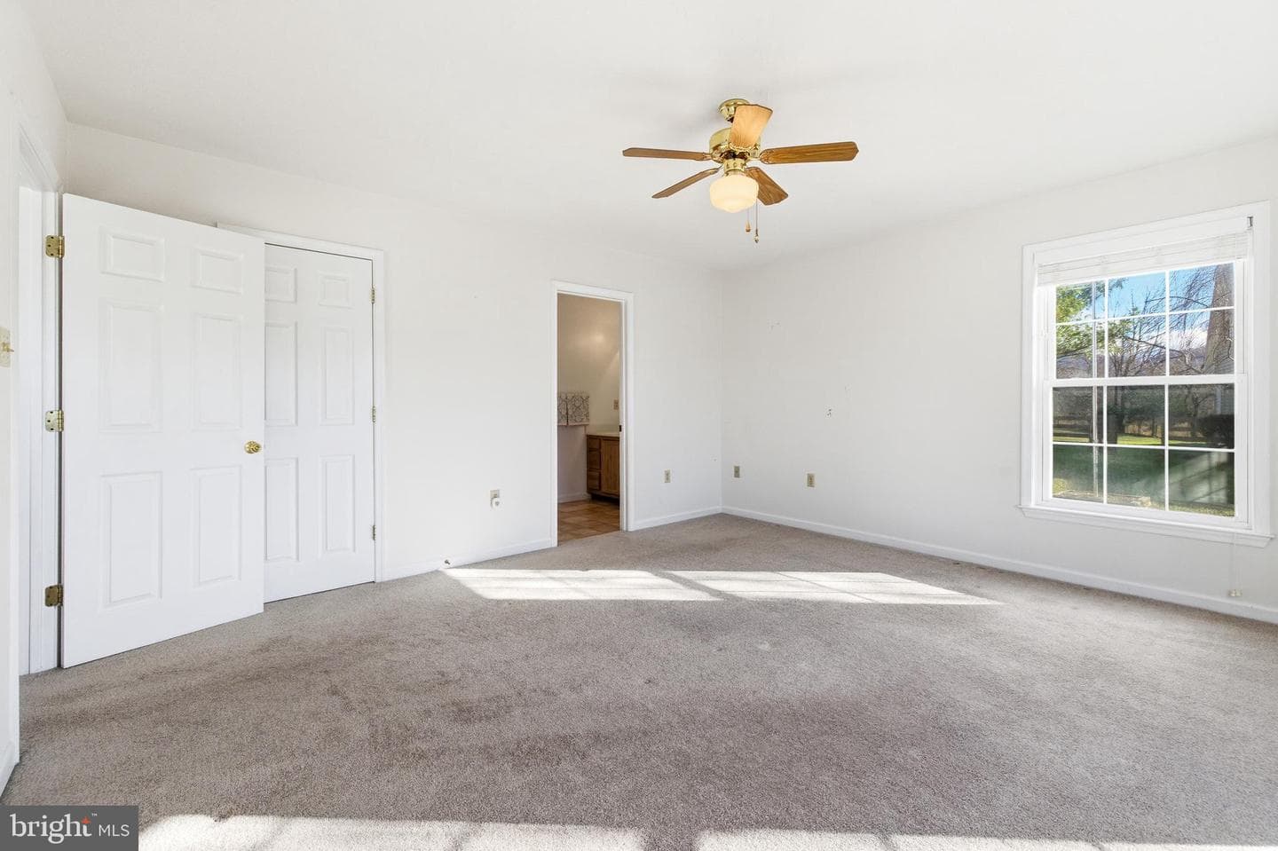 134 Dillon Court photo 16