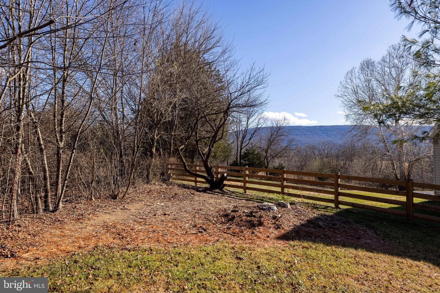 134 Dillon Court photo 44