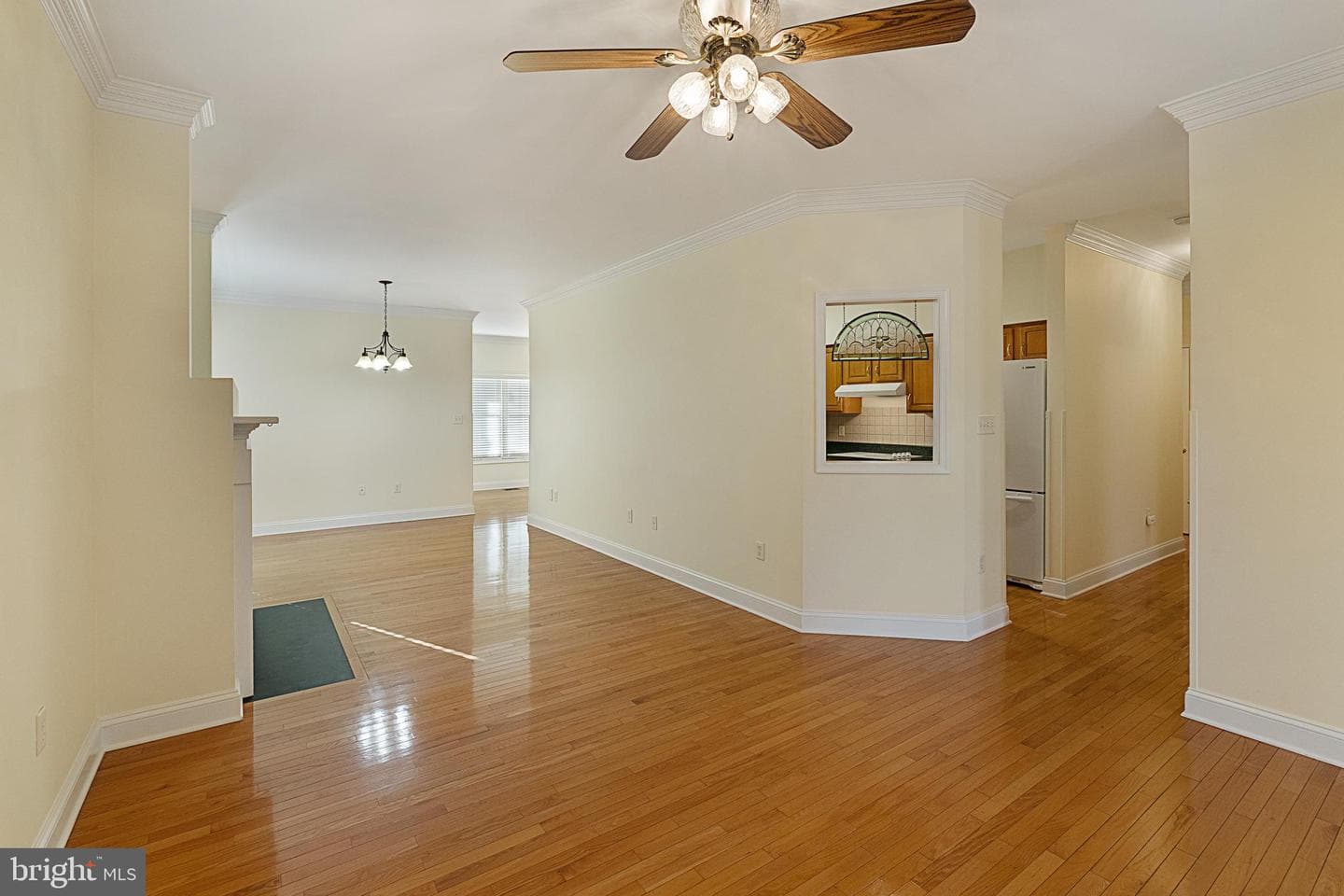 207 Donna Drive photo 10