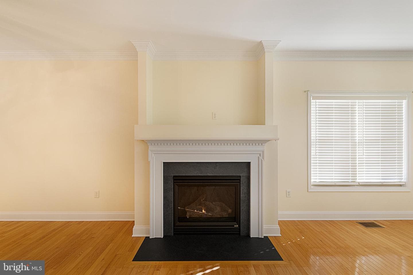 207 Donna Drive photo 12