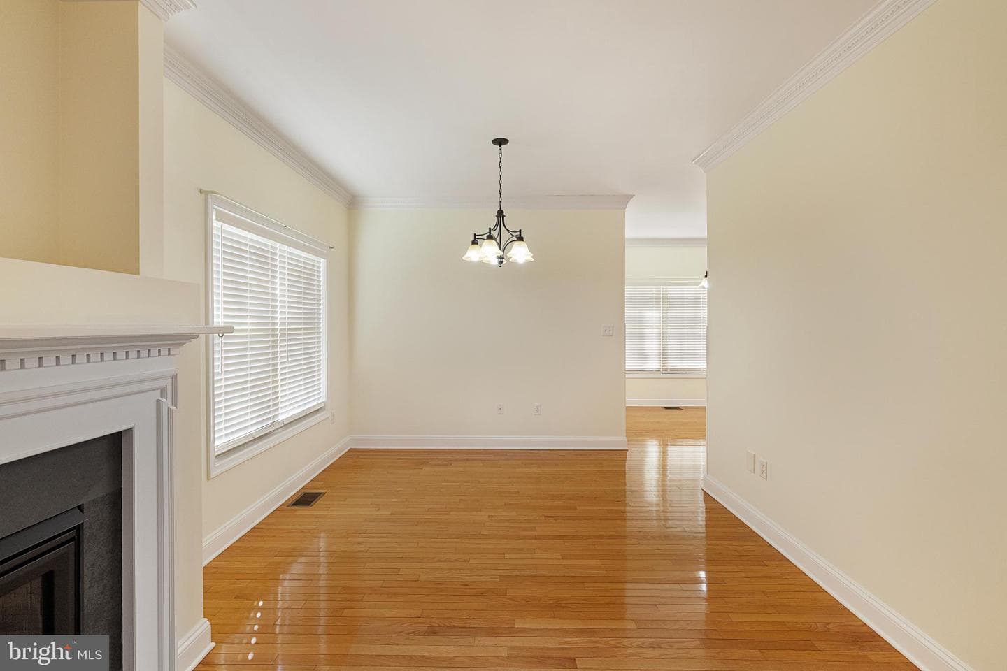 207 Donna Drive photo 14