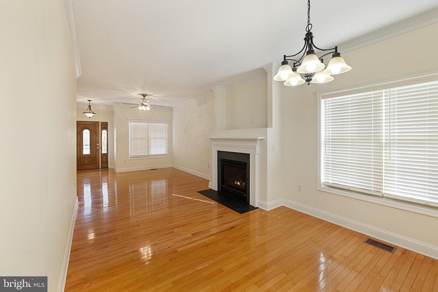 207 Donna Drive photo 16