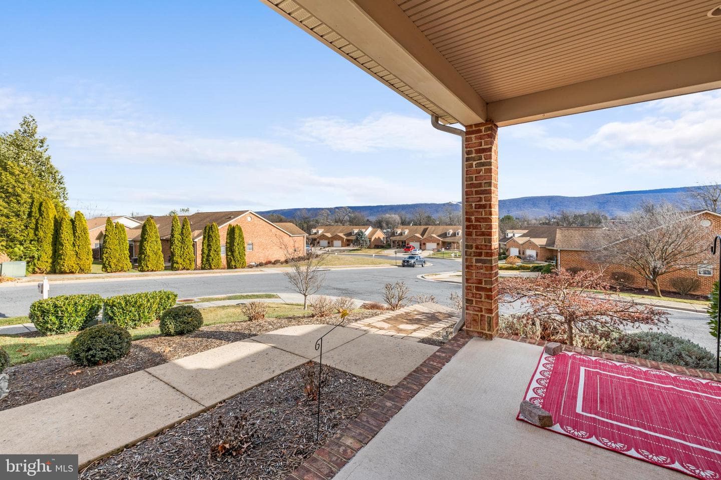 207 Donna Drive photo 4
