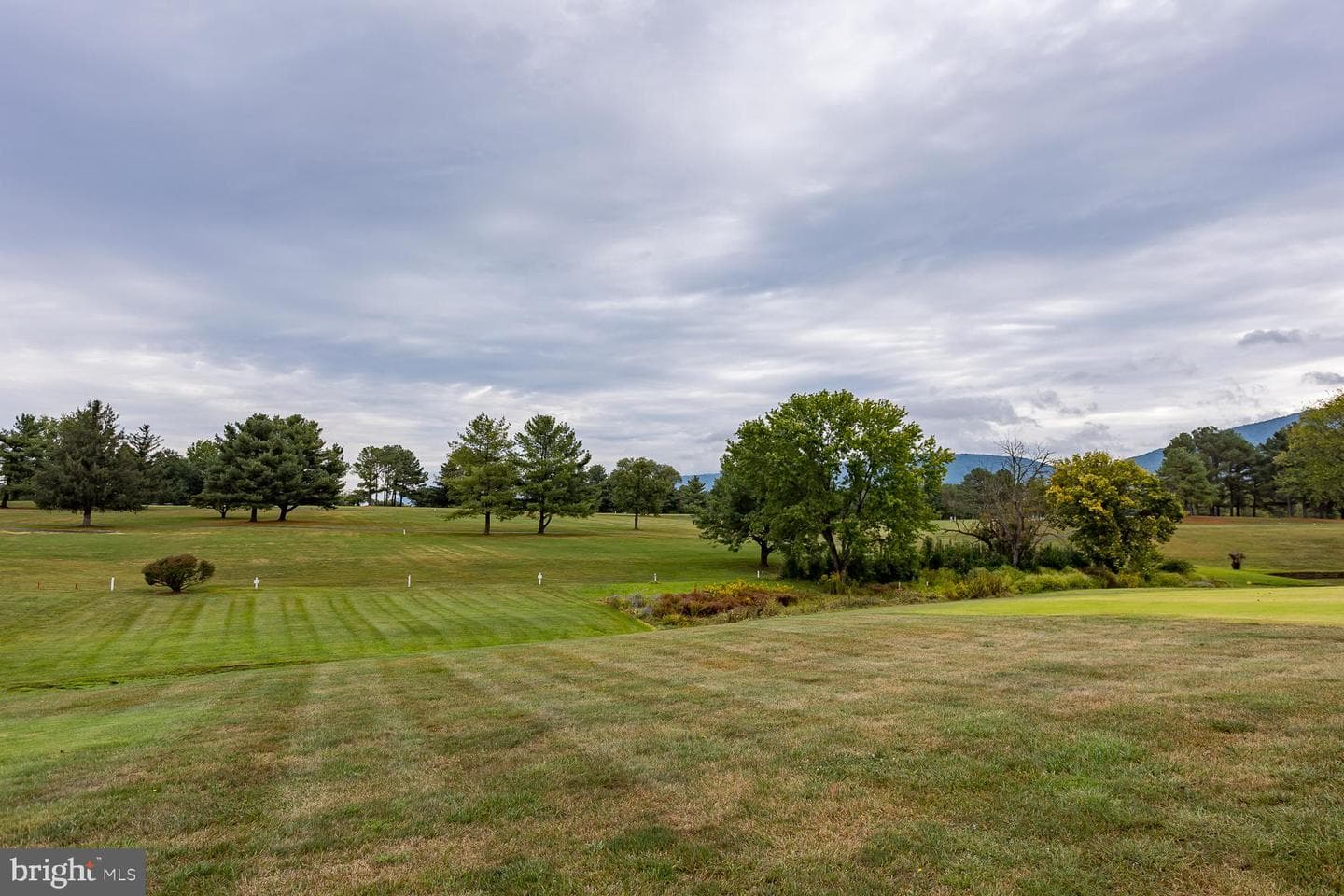 248 Shenvalee Drive photo 10