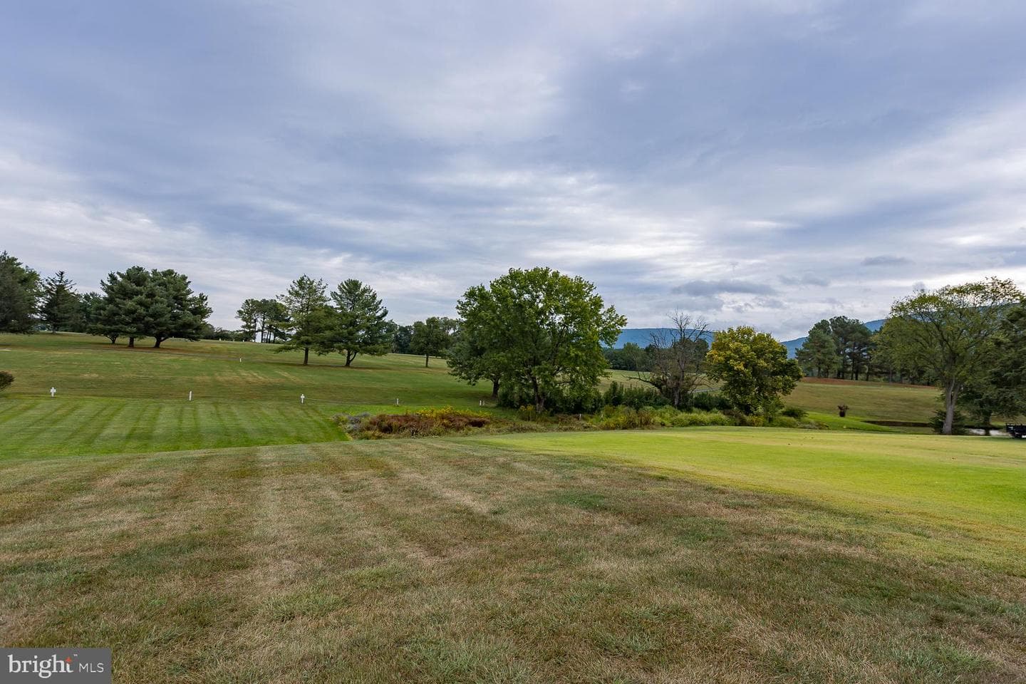 248 Shenvalee Drive photo 7