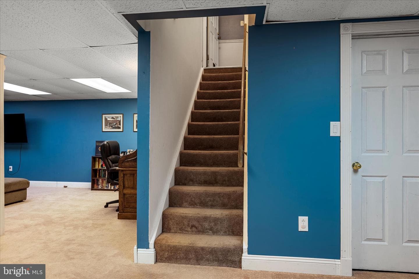95 Cecelia Street photo 40