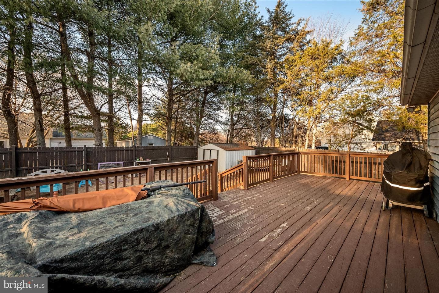 95 Cecelia Street photo 48
