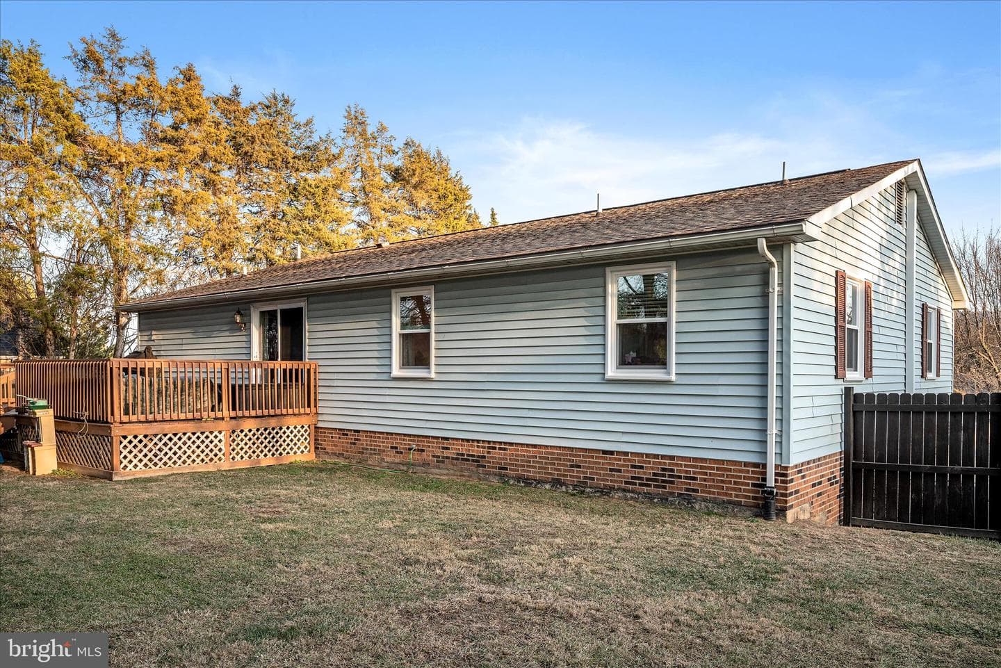 95 Cecelia Street photo 55
