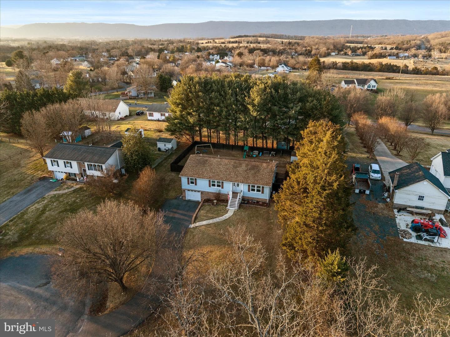 95 Cecelia Street photo 59