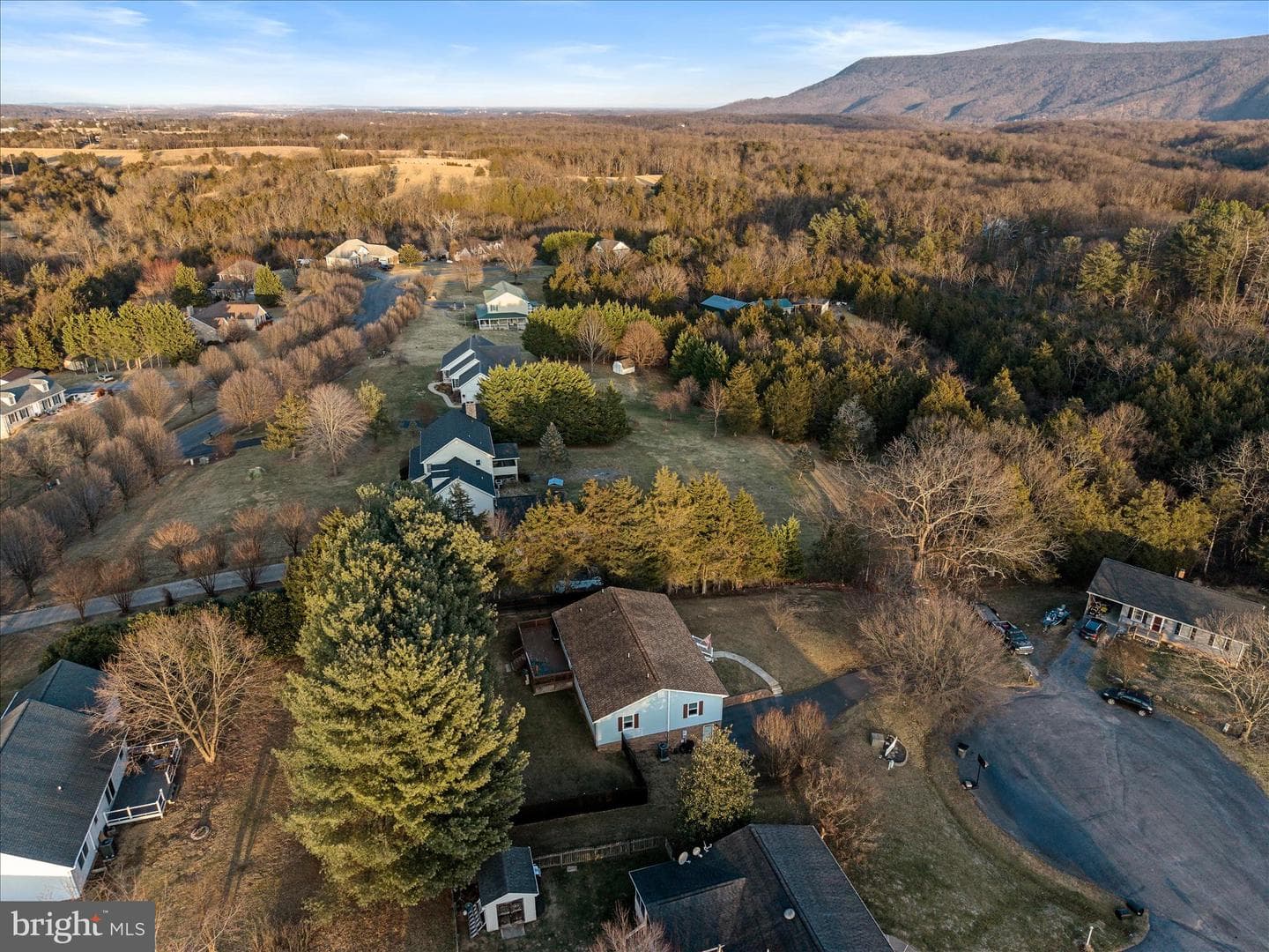 95 Cecelia Street photo 60