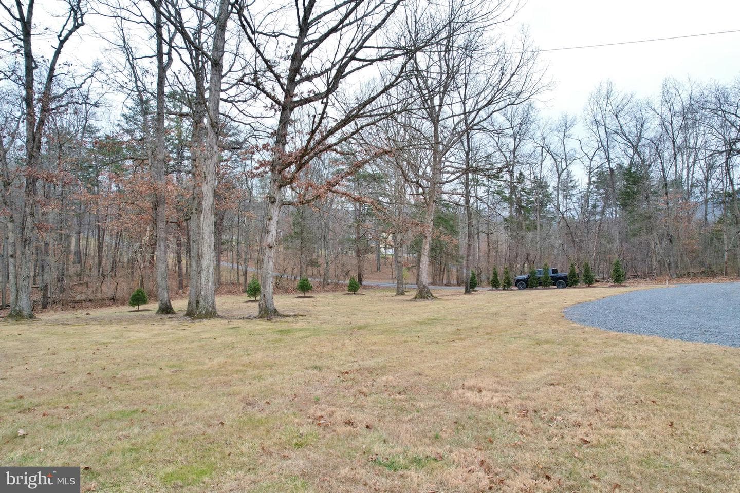 67 Plum Tree Lane photo 45