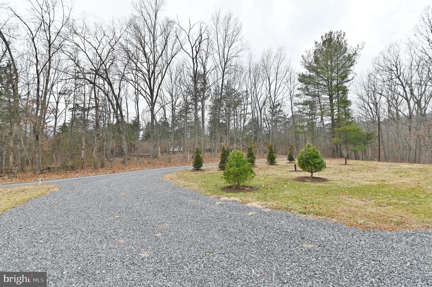 67 Plum Tree Lane photo 47