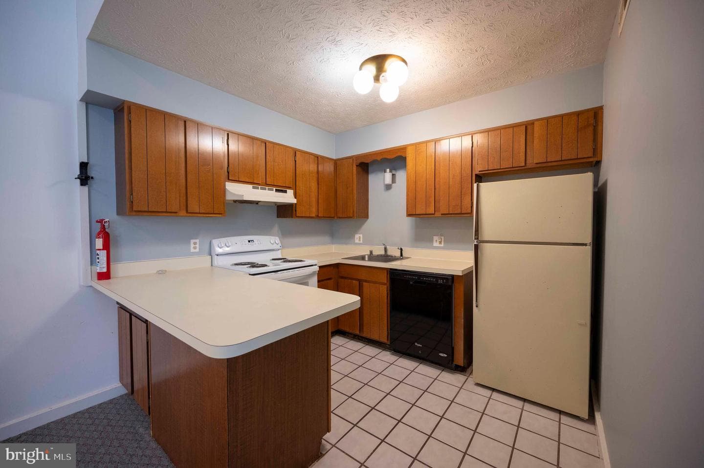 377 Spitz #100 A&b photo 14