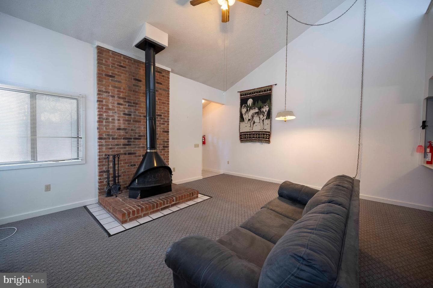 377 Spitz #100 A&b photo 15