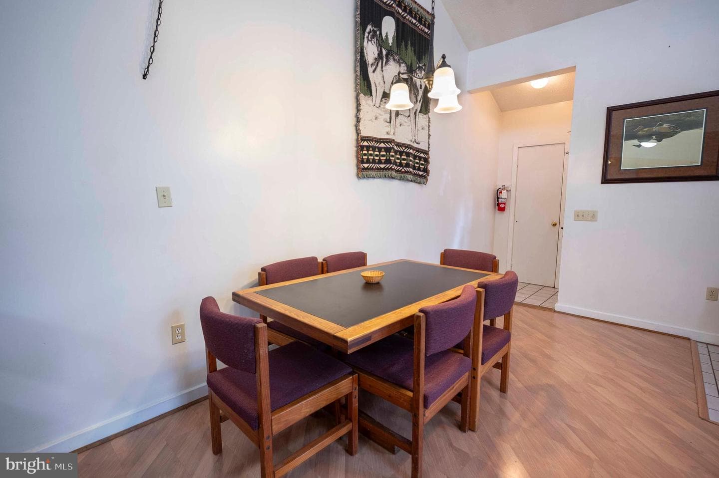377 Spitz #100 A&b photo 49