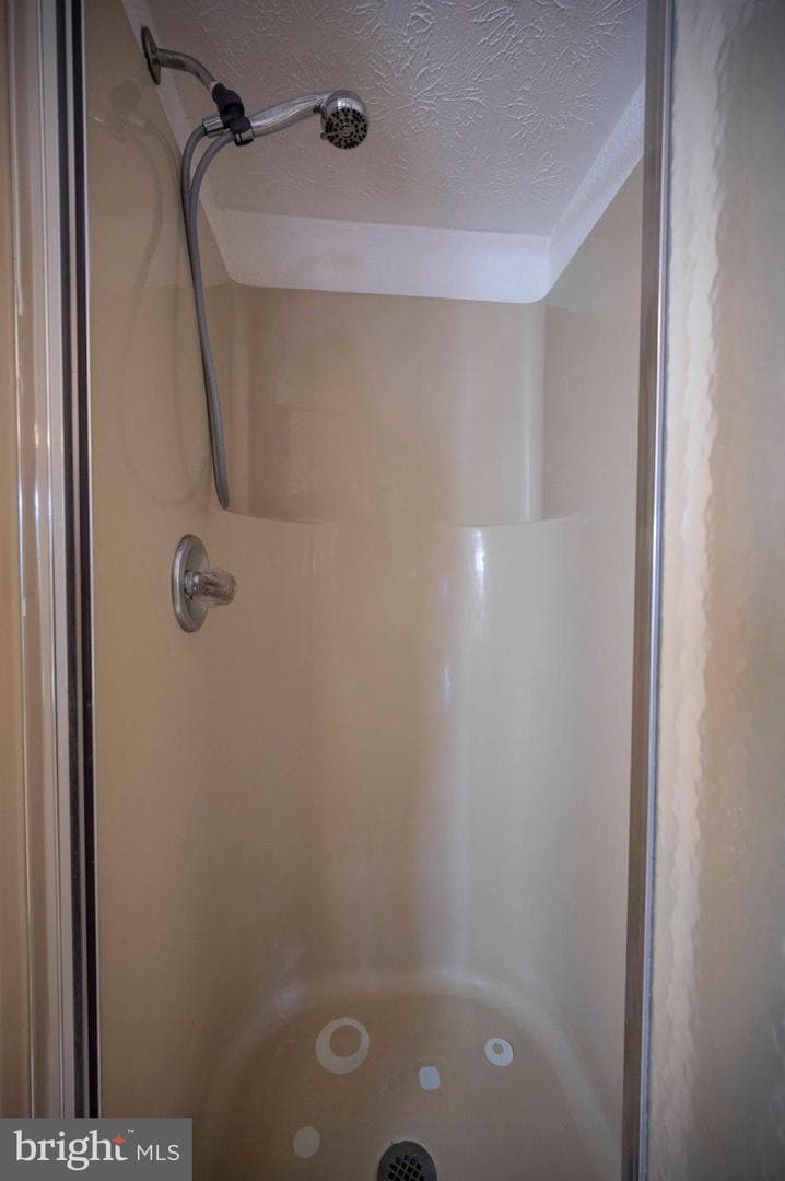 377 Spitz #100 A&b photo 58