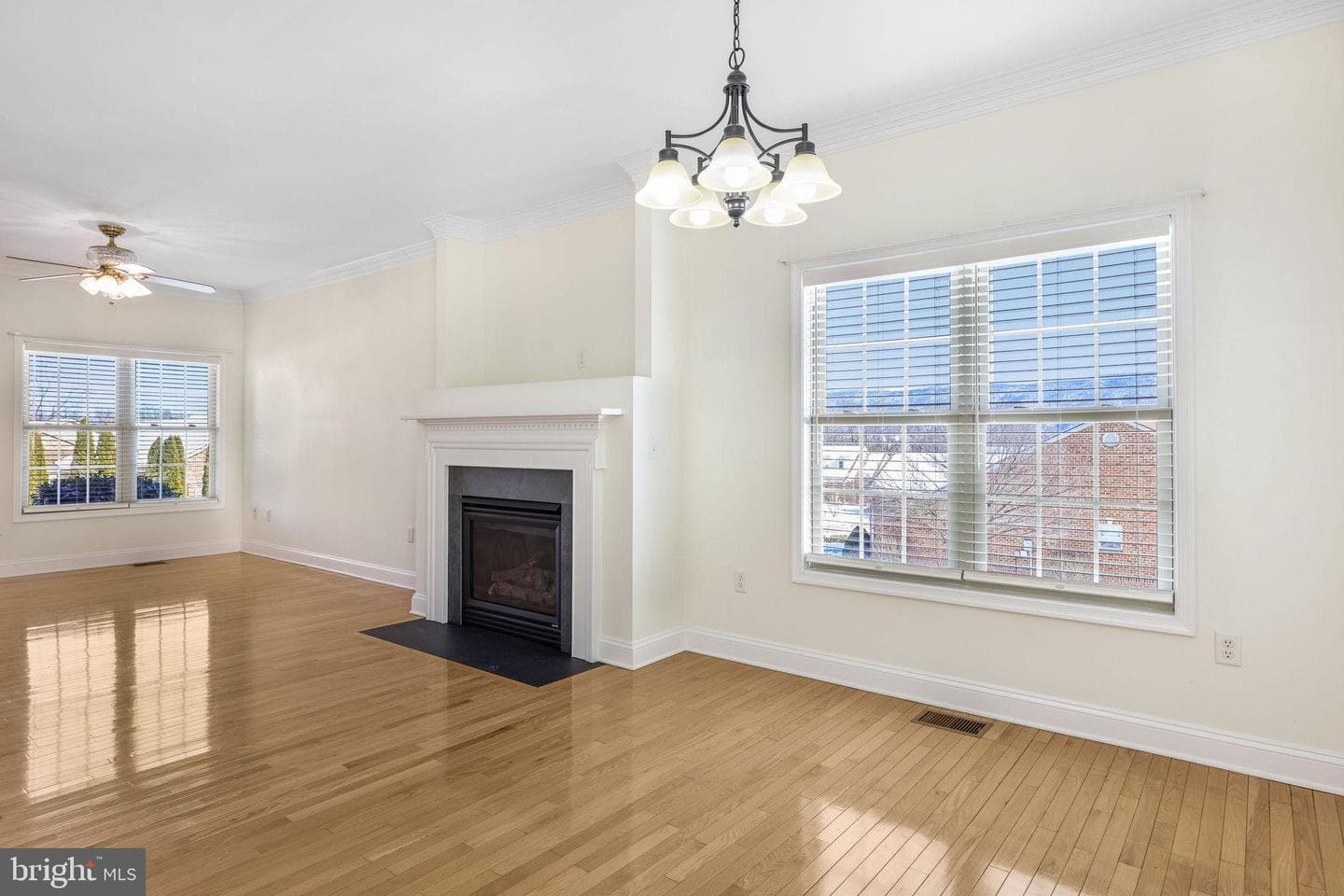 207 Donna Drive photo 10