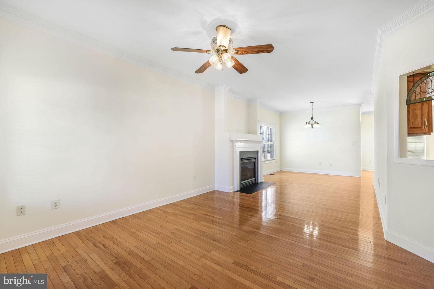 207 Donna Drive photo 11
