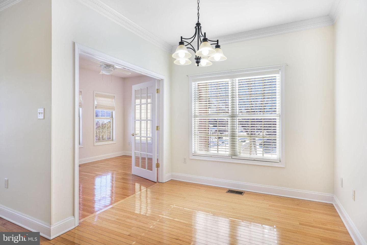 207 Donna Drive photo 12