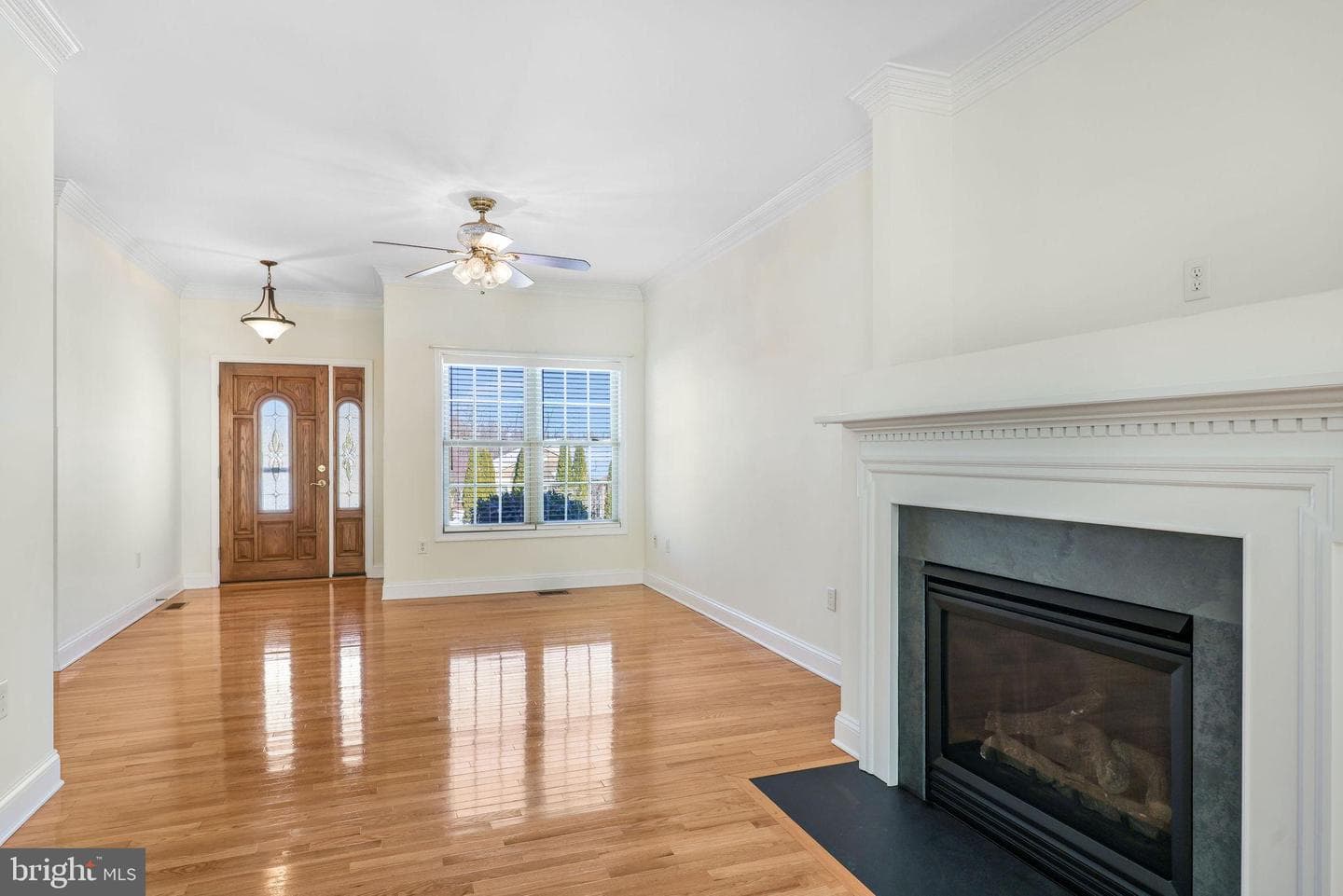 207 Donna Drive photo 8