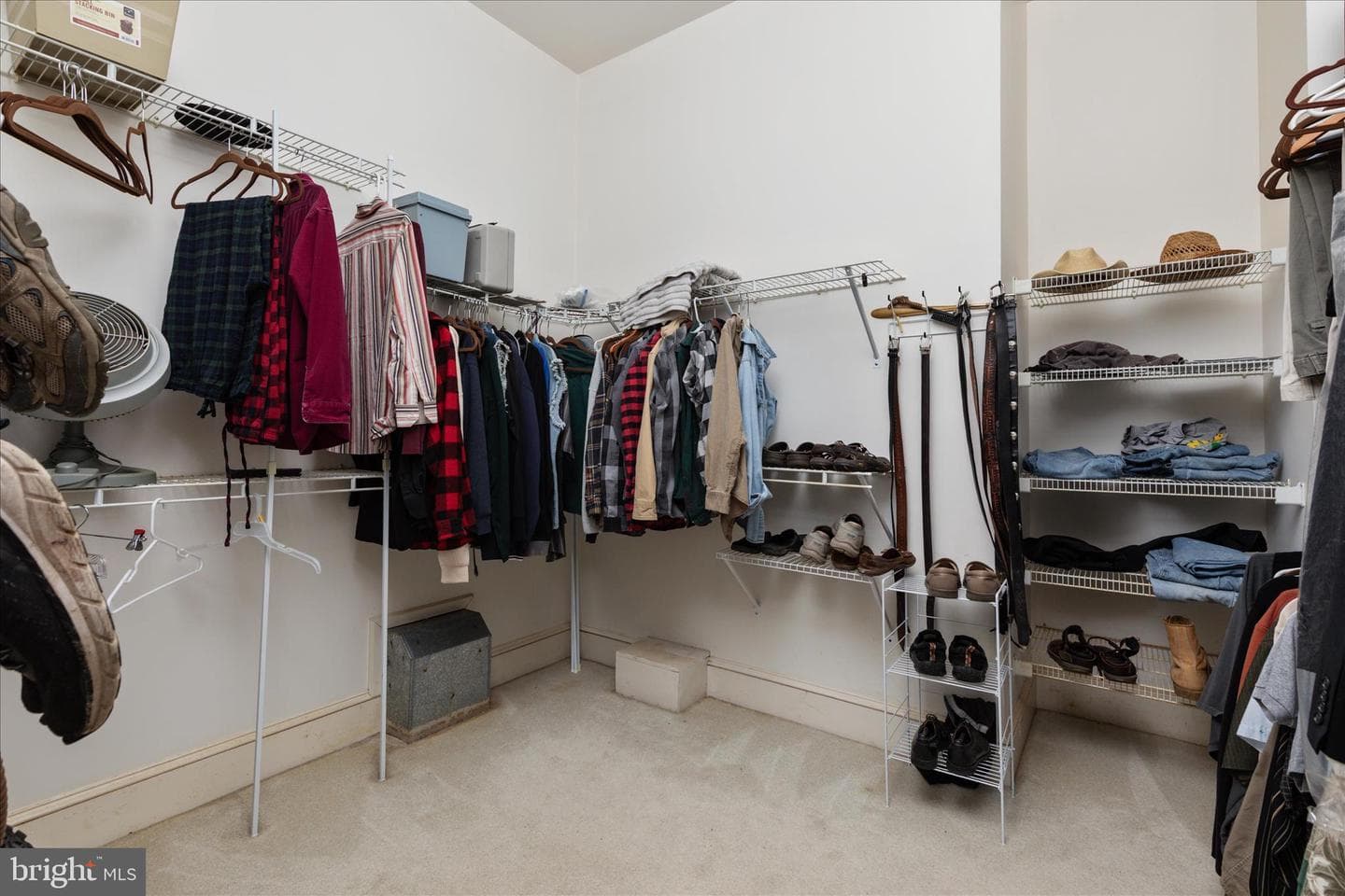 101 Dogwood Drive photo 49