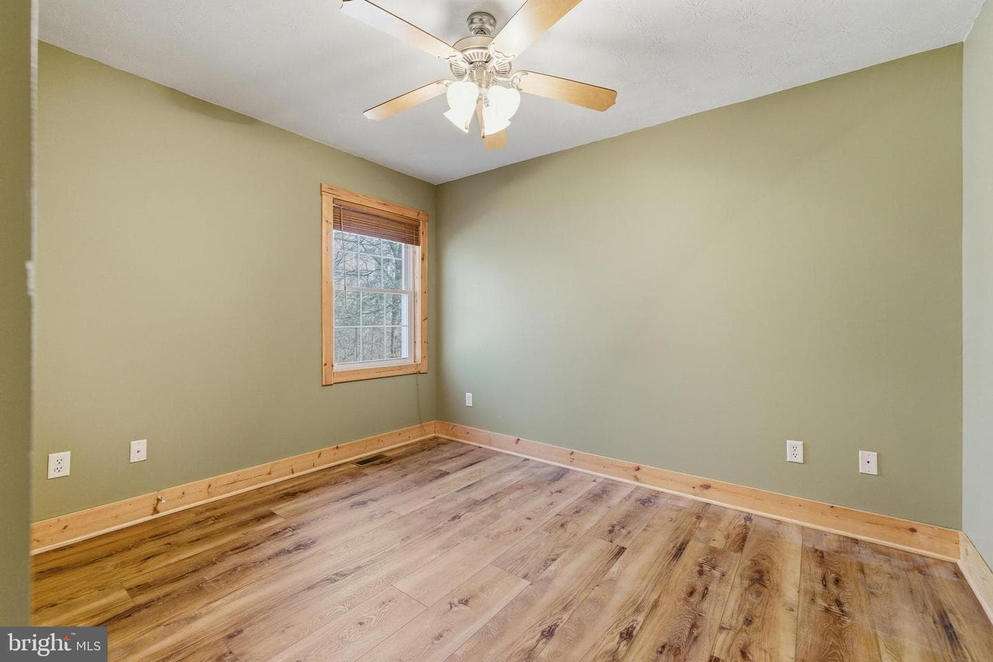 86 Maple Avenue photo 20