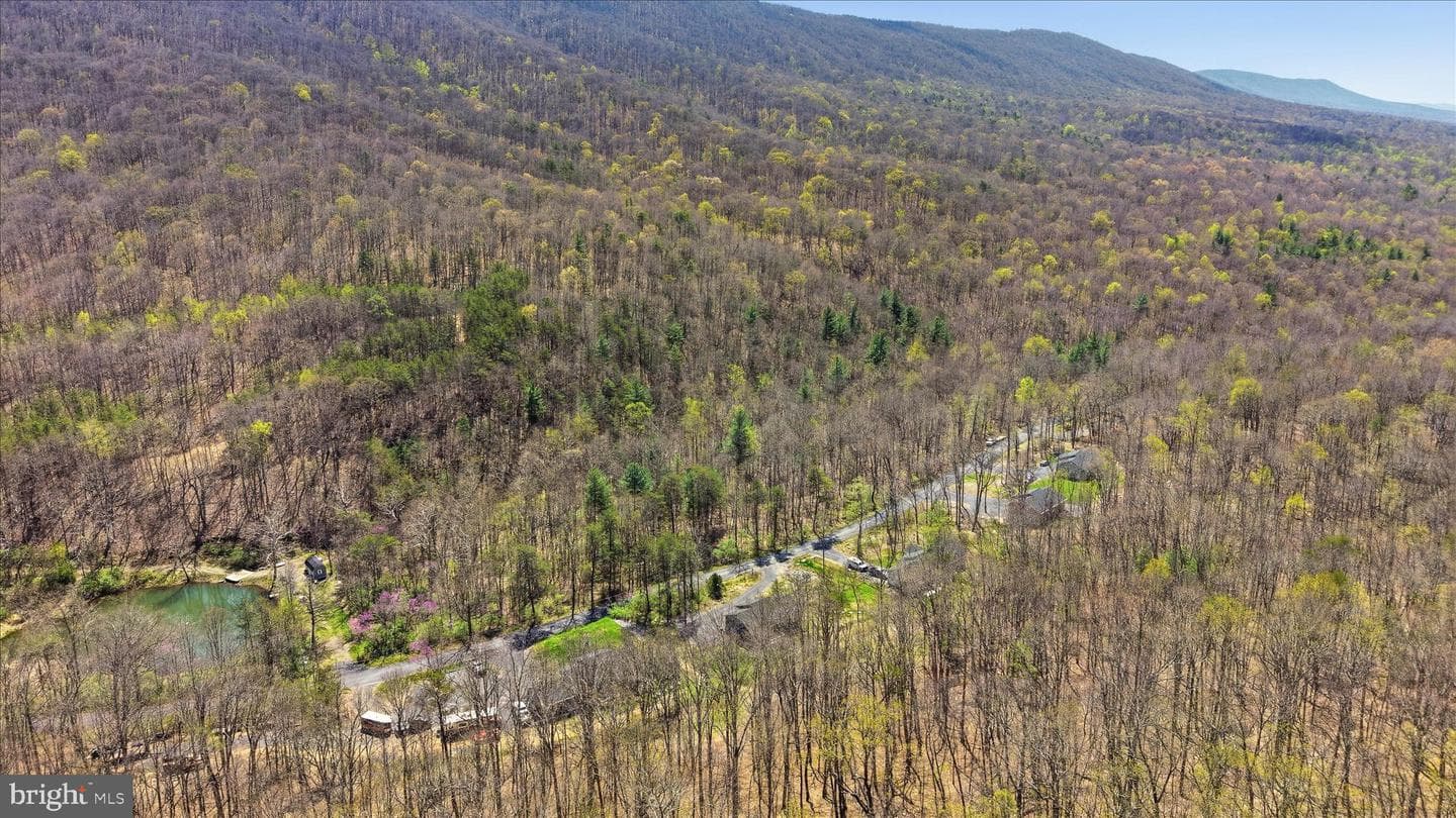 4071 Moreland Gap Road photo 37
