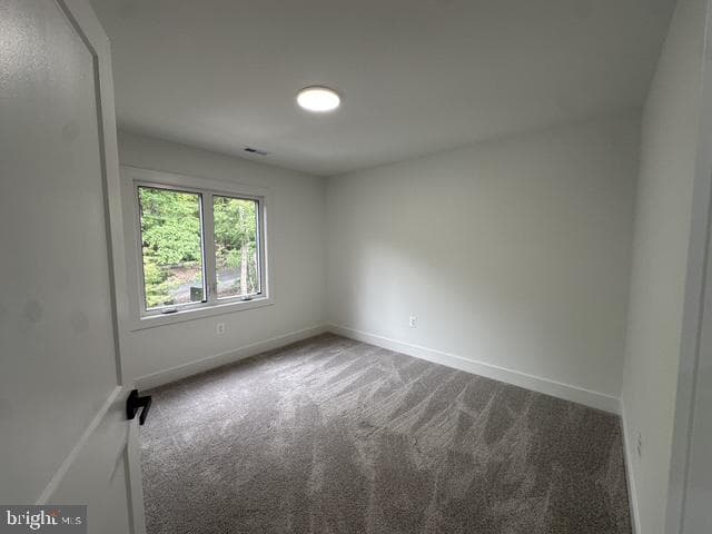 64 Elm Court photo 21