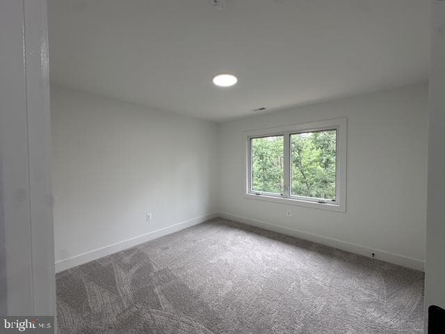 64 Elm Court photo 22