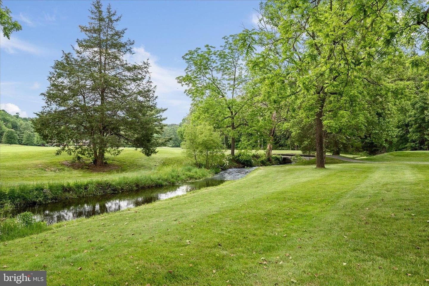 8258 Supinlick Ridge Road photo 46