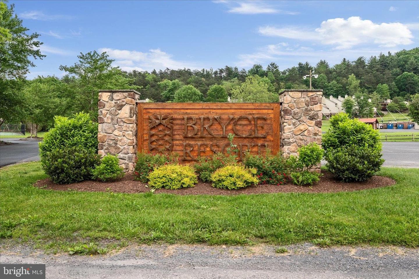 8258 Supinlick Ridge Road photo 48