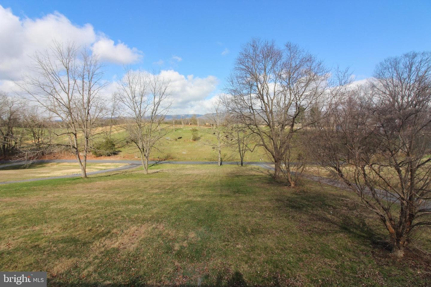 2212 Swartz Road photo 7