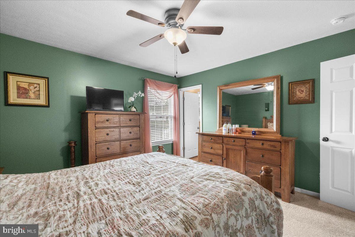 36 Ellen Drive photo 11