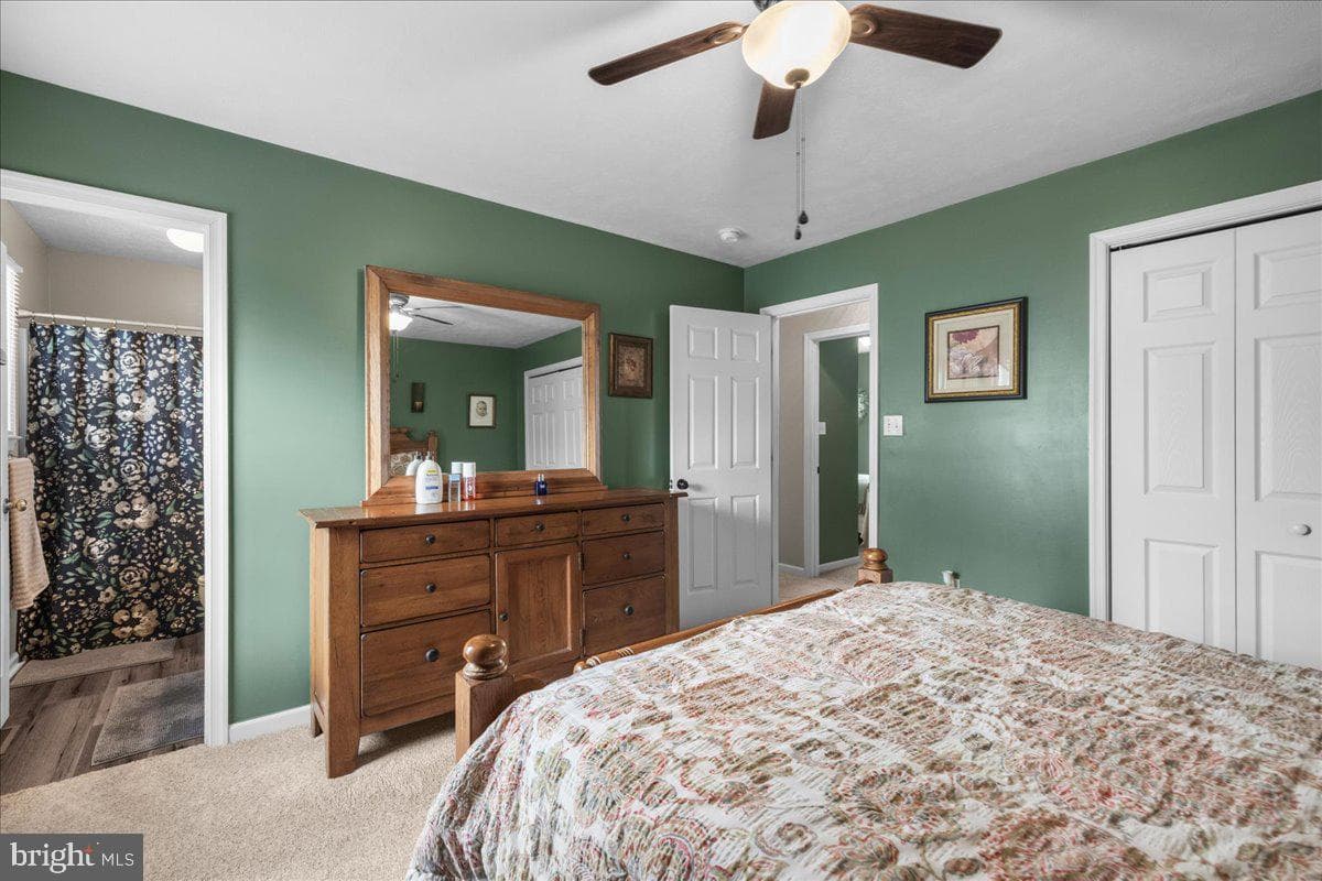 36 Ellen Drive photo 9