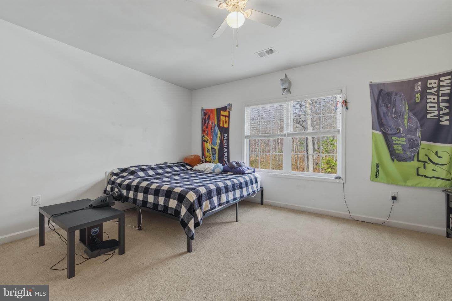 257 Hunter Road photo 35