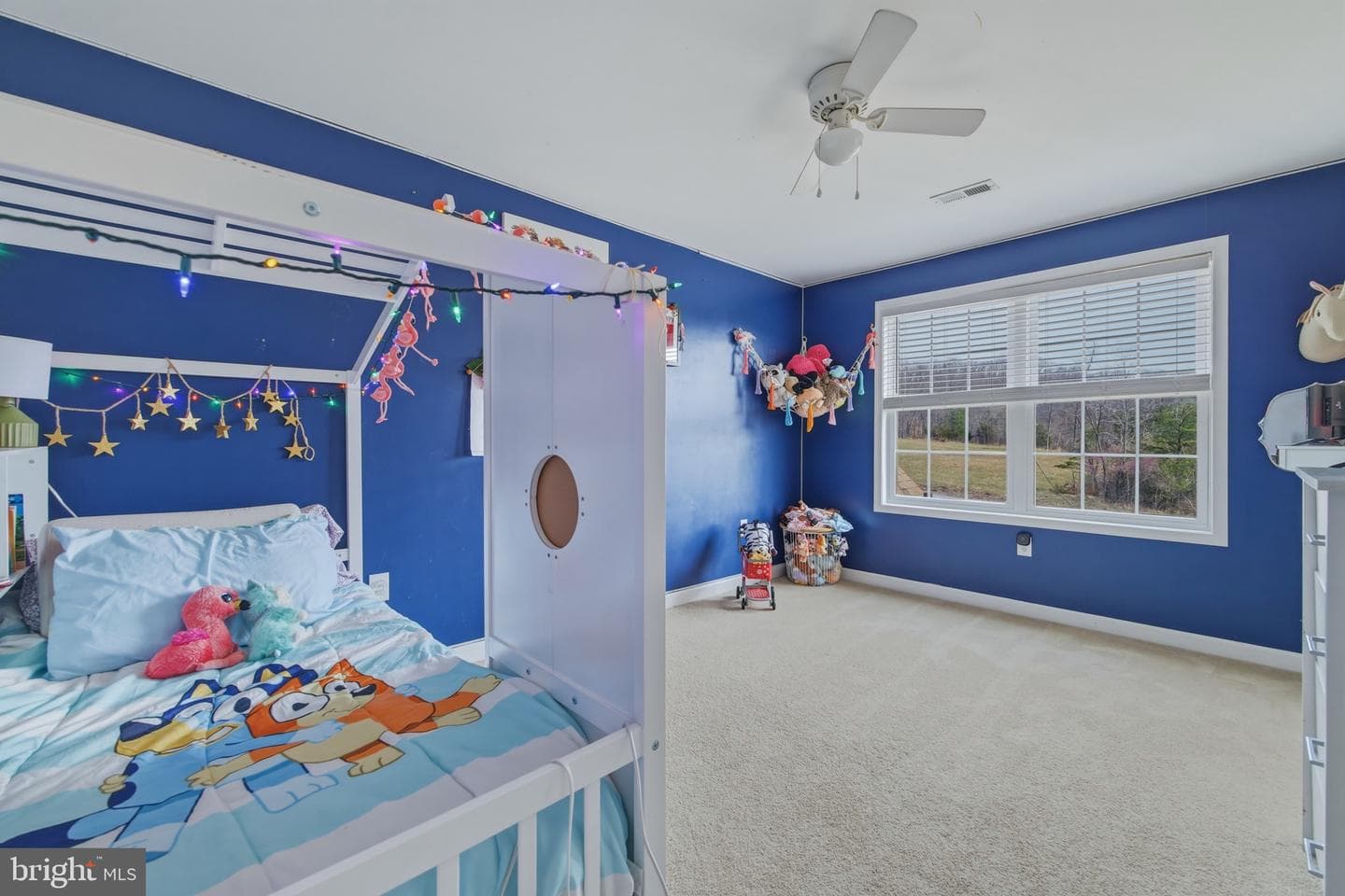 257 Hunter Road photo 37