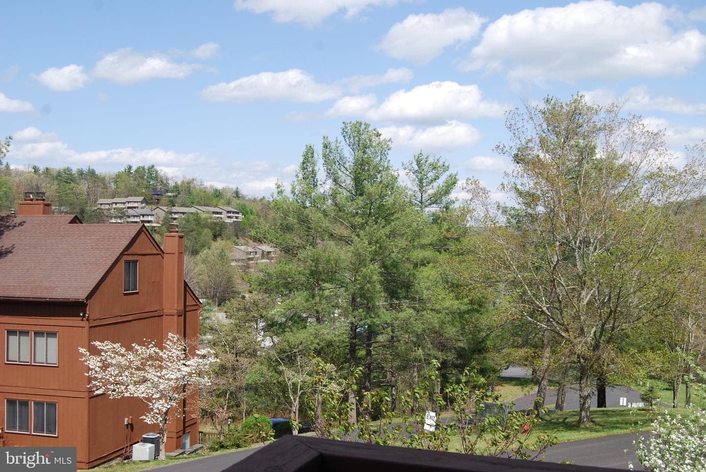 141 The Hill #25a photo 3
