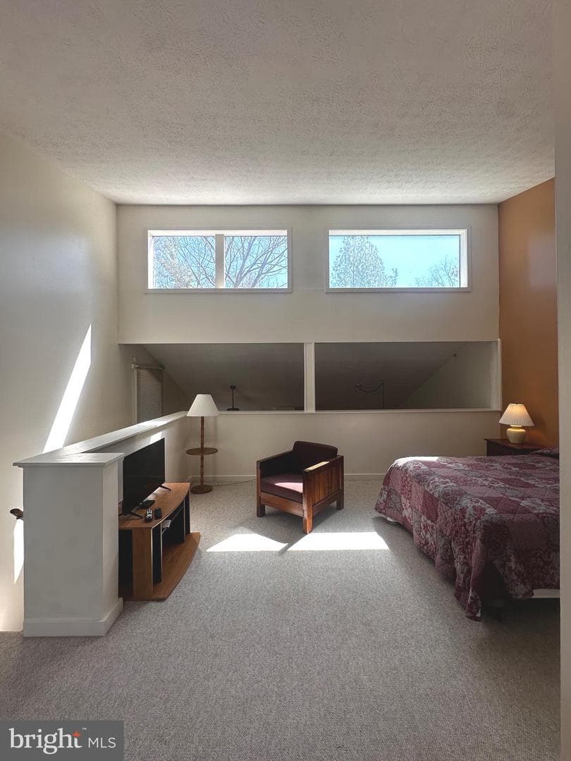 393 Spitz Lane #99 photo 37