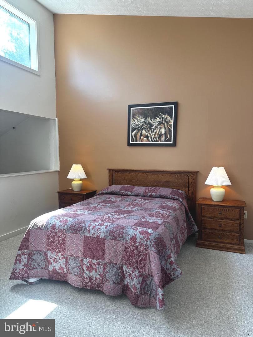 393 Spitz Lane #99 photo 42