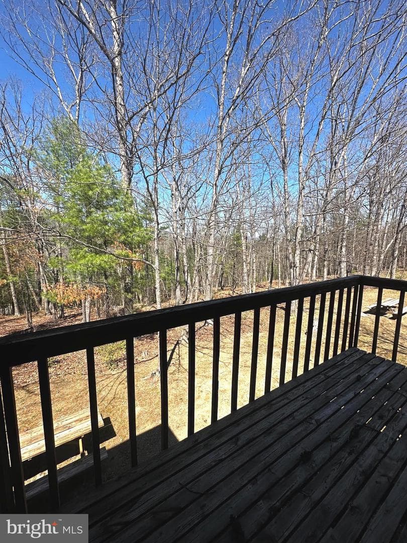 393 Spitz Lane #99 photo 49
