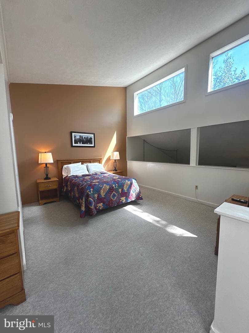 393 Spitz Lane #99 photo 5