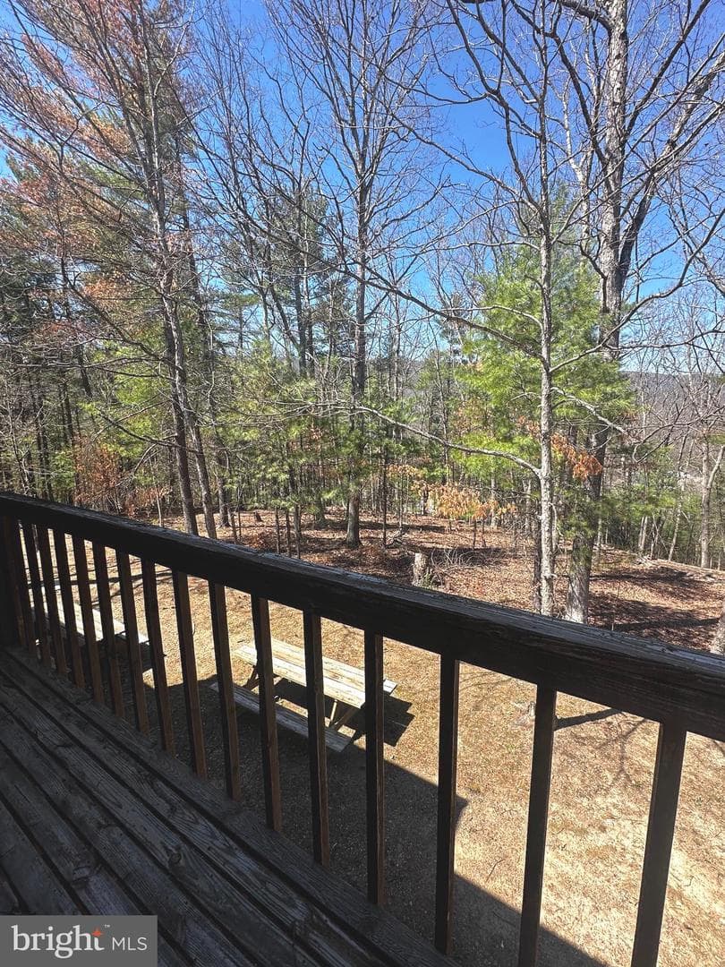 393 Spitz Lane #99 photo 51