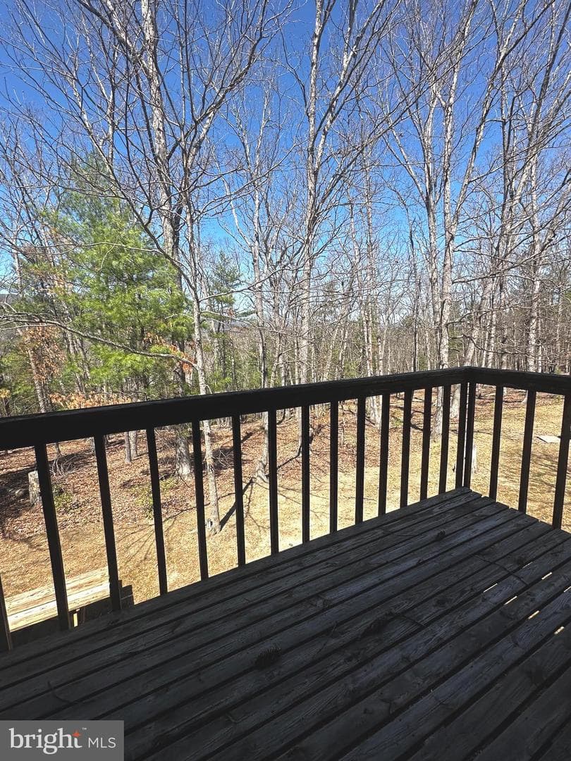 393 Spitz Lane #99 photo 52