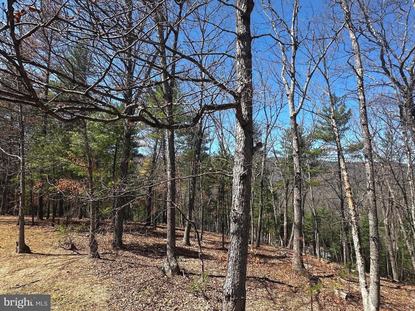 393 Spitz Lane #99 photo 76